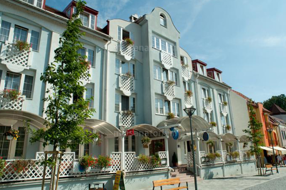 Спа отель Erzsebet