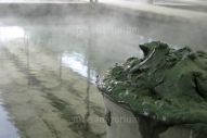 Спа oтель Terme Venezia